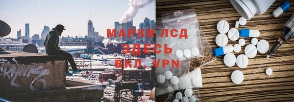 стафф Иннополис