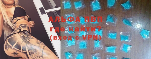 стафф Иннополис