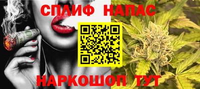 jwh Гудермес