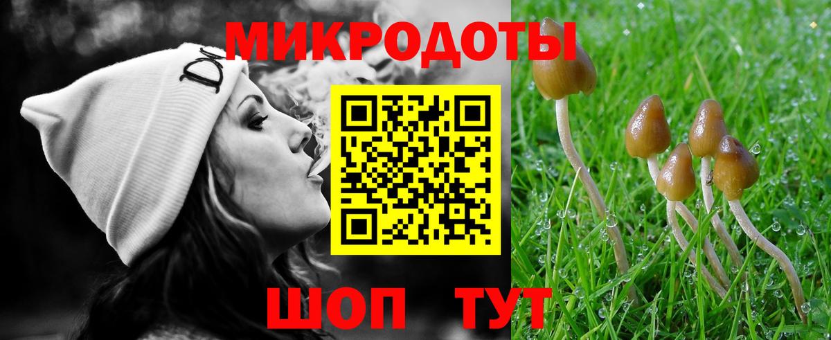 Галлюциногенные грибы Psilocybine cubensis Краснотурьинск