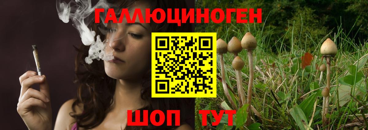 Псилоцибиновые грибы GOLDEN TEACHER  Вход с VPN  Краснотурьинск 